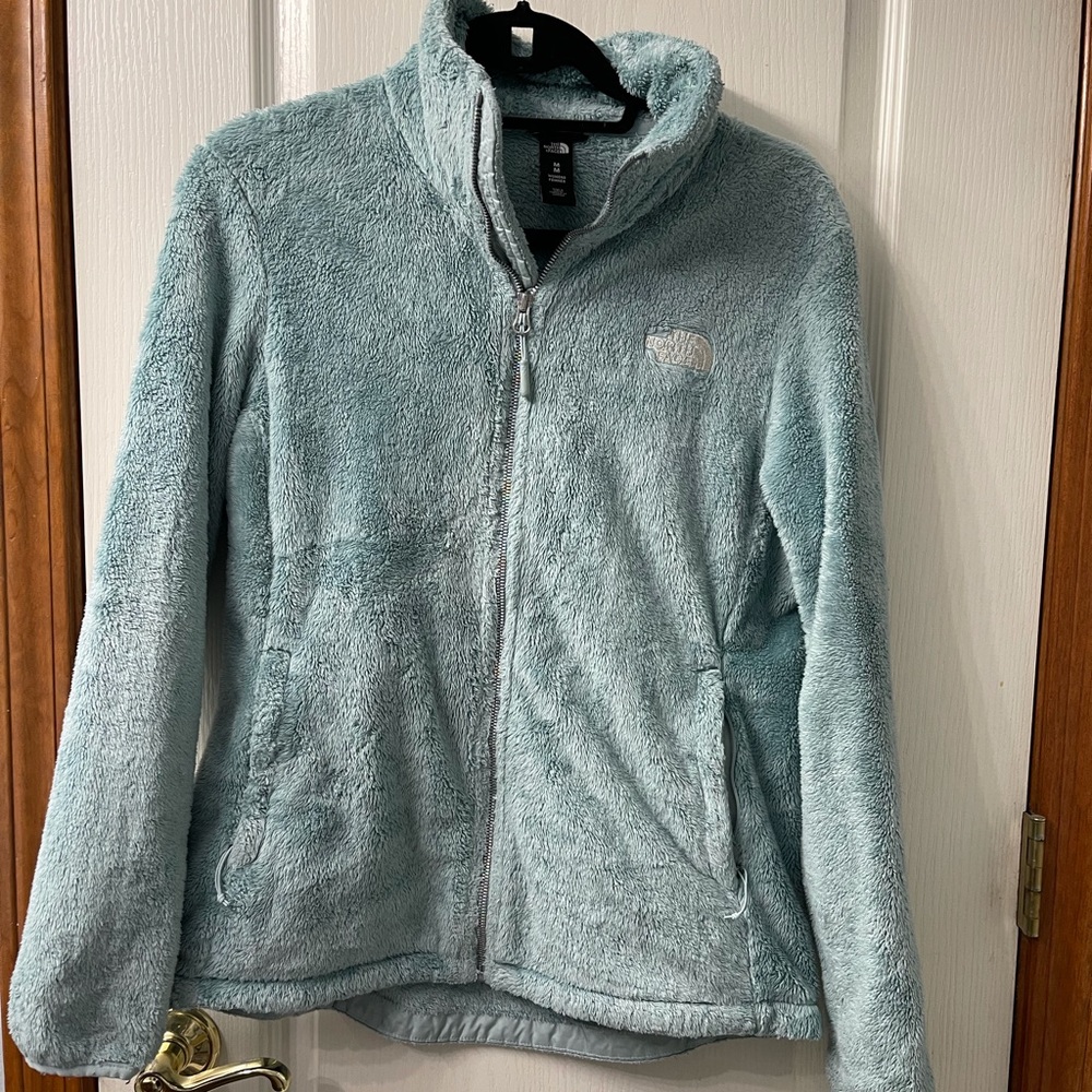Woman’s north face mint and silver osito